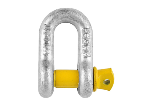 Heavy-Duty D Shackle